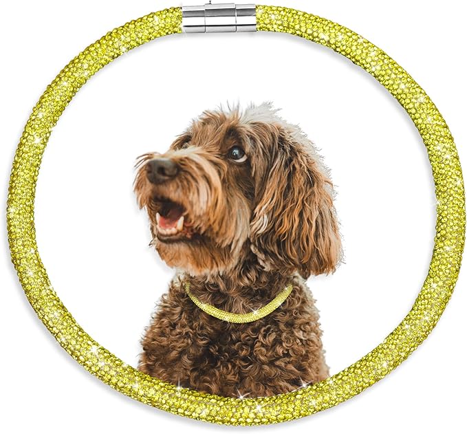 Stylish and Luxurious Diamond Dog Collar,Magnetically Absorbent Clasp,Full Diamond Design,Perfect for Wedding and Everyday Walking - Gold Yellow Diamons Necklace Collar for Medium Dogs,16''