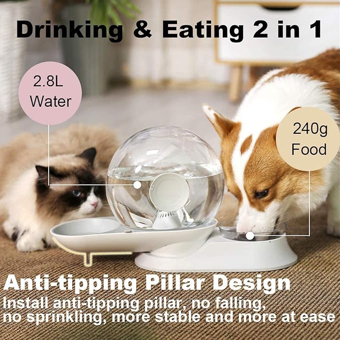 2 In1 Automatic Cats Dogs Water Dispenser Pet Food Bowls Set,No-Spill Dog Water Bottle & Dish Detachable Transparent Pet Feeder for Small Medium Size Dog Cat 2.8L