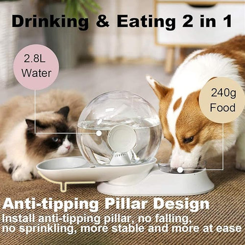 2 In1 Automatic Cats Dogs Water Dispenser Pet Food Bowls Set,No-Spill Dog Water Bottle & Dish Detachable Transparent Pet Feeder for Small Medium Size Dog Cat 2.8L