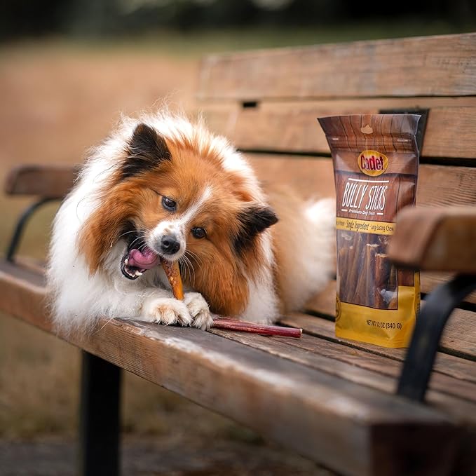 Cadet Bully Sticks for Extra-Small Dogs, All-Natural Beef Pizzle, Rawhide-Free Long-Lasting Dog Chews for Aggressive Chewers, 8 oz