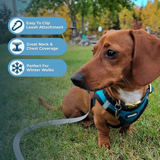 Best Pet Supplies - All Weather Plush, Reflective, No Pull Harness for Small, Medium Dogs, Cats - Secure with Hook & Loop Fastener, Buckle, Double D-Rings - Turquoise Plush, M