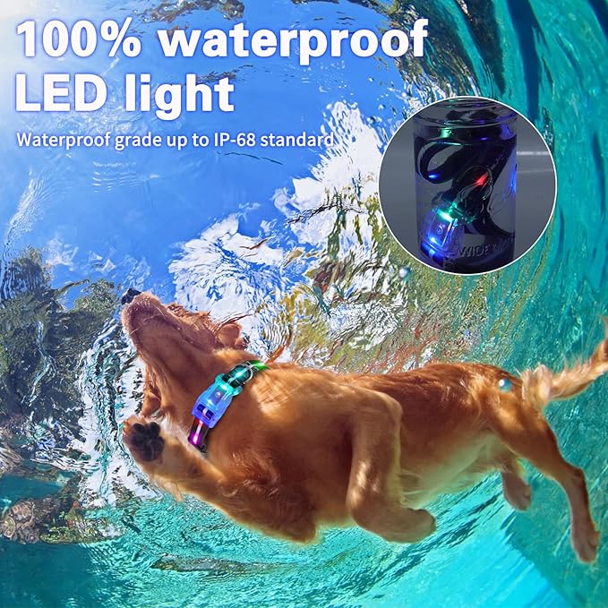 Light Up Dog Collar, USB Rechargeable Flashing LED Dog Collar, Adjustable Comfortable Glow in The Dark Puppy Collars, Safe Dog Collar Light for Medium Large Dogs(L Size)