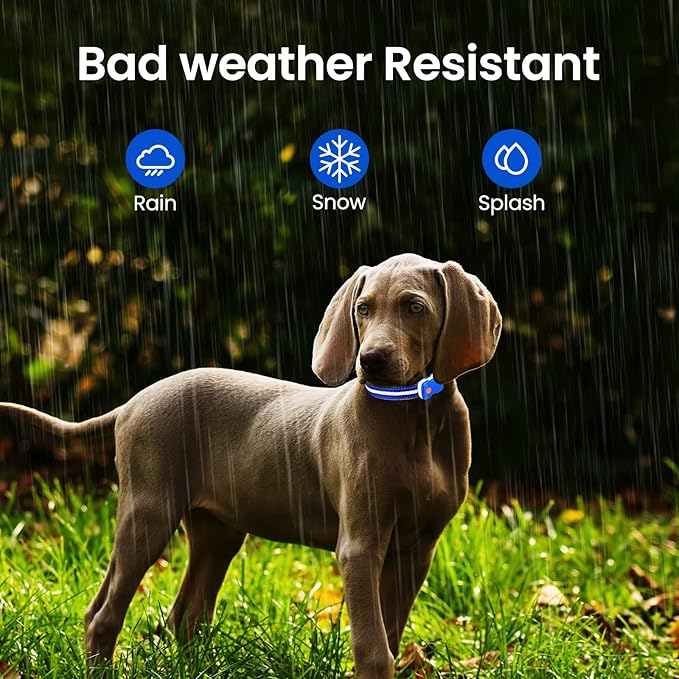 MASBRILL Light Up Dog Collars-RGB Led Collar for Dogs Rechargeable Lighted Dog Collar Water-Resistant Colorful Glow in The Dark Dog Collars for Night Walking