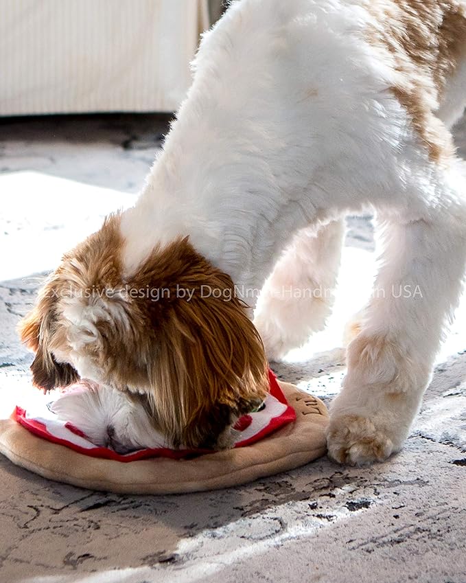 Dog toys, Snuffle mat, Handmade Personalized Pizza dog toys
