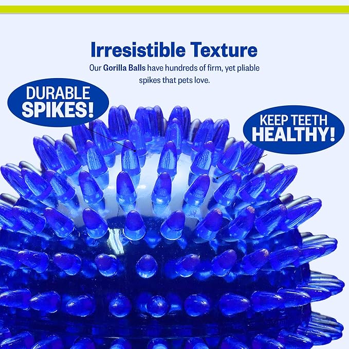 PetSport Gorilla Spiky Ball 5" - Spiky Rubber Dog Ball Toy, Interactive Puppy Toy for Medium and Large Sized Dogs, TPR Rubber, Vanilla Scented - 5 Inch, X-Large (Pack of 2)