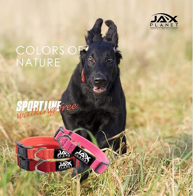 Dog Medium Sized Service Small no Pull Puppy Size Collar Leash Set Easy Walk Training Animal Light Handle Escape Proof Heavy Duty Belt Clip Gear wear Body Running Chest Accessories Adjustable Padded