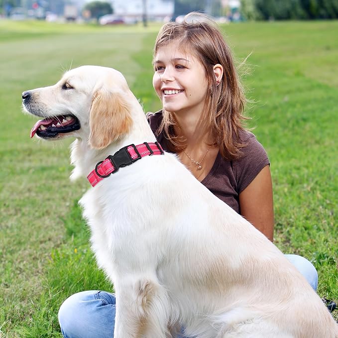Mile High Life Reflective Dog Collar, Basic Dog Collars Adjustable Quick Release, Soft Nylon Pet Collar with Metal D-Ring for Small Medium Large Dogs (Pink, L Neck15-19")