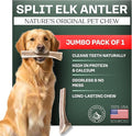 Mountain Valley Elk Antlers for Dogs - 100% Natural & Organic Chew for Aggressive Chewers, No Odor, No Mess, Long Lasting - Wild-Foraged Naturally Shed Antlers in USA - Grade A, Split Jumbo (1 Pack)