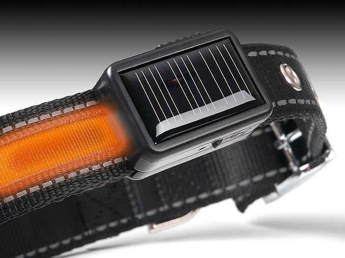 Brite Strike - LPCSU-ORANGE-MED - Solar & USB Rechargeable LED Lighted Dog Safety Collar - Make Your Dog Seen in the Dark – 2.5 Hr Run Time, Water-Resistant - Medium, Orange