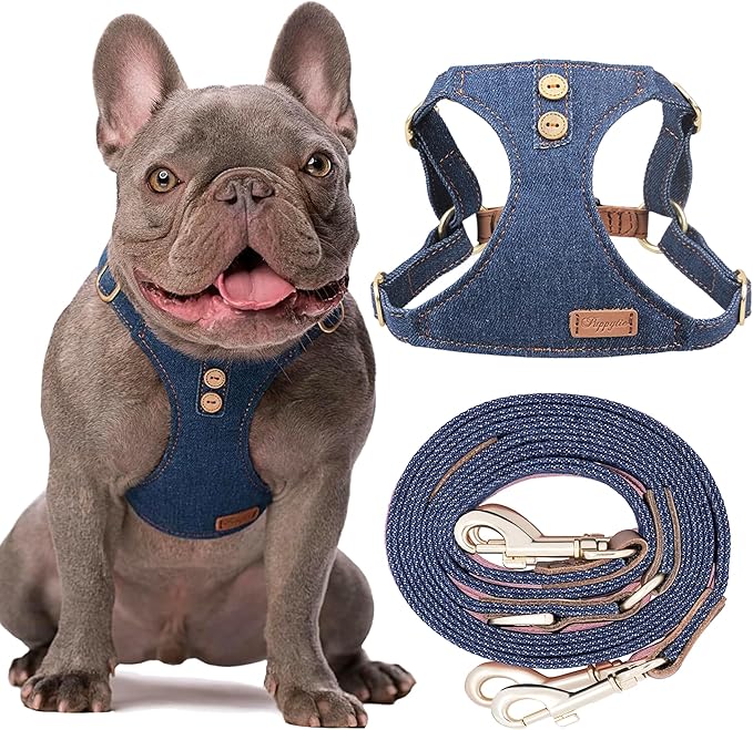 No Pull xs Dog Harness with Multifunction Dog Leash,Soft Adjustable No Choke Escape Proof Pet Harness Vest,Denim Blue,XS