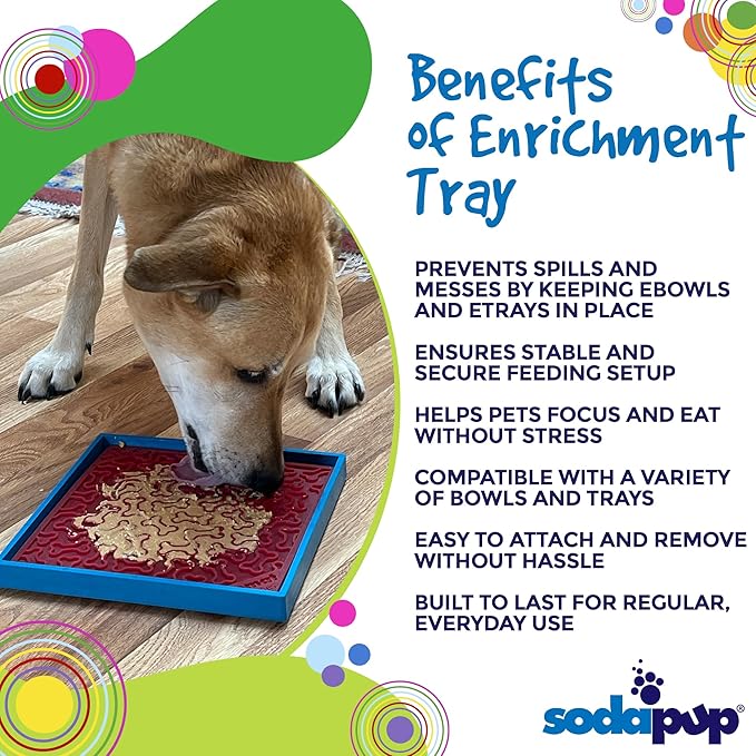 SodaPup Hold Em Tray – Durable Suction Cup Holder for eBowls, eTrays, and eMats, Made in USA from Non-Toxic, Pet-Safe Rubber, Prevents Sliding & Messes, and Enhances Mealtime Convenience
