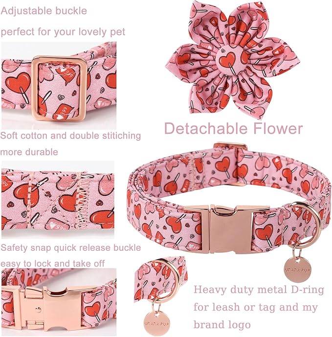 Valentine Dog Collar with Flower, Heart Flower Collar for Puppy Girl Boy Dog or Cat, Comfortable Dog Collar Flower with Durable Metal Buckle, Cute Pet Collar, M, Neck 13.5-22in