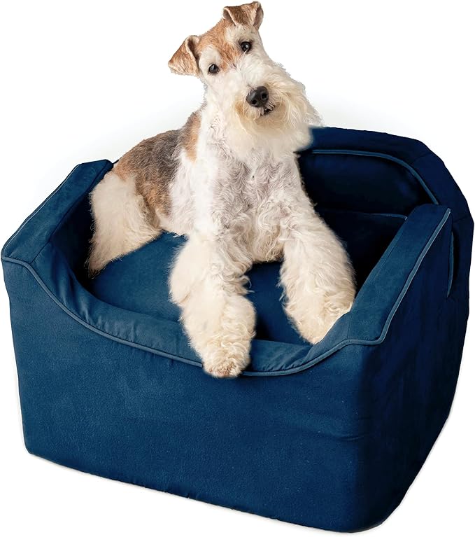 Snoozer Dog Car Seat: Lookout I Dog Booster Car Seat for Pets up to 25lbs, Helps Alleviate Travel Sickness & Fear for Dogs, Removable Washable Cover – Sapphire, Size Medium