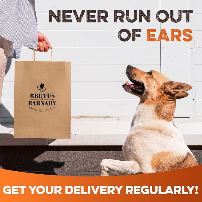 BRUTUS & BARNABY Cow Ears for Dogs – Halves 100 ct, Thick Cut, Grass-Fed Angus Beef, All-Natural No-Rawhide Dog Treat Alternative