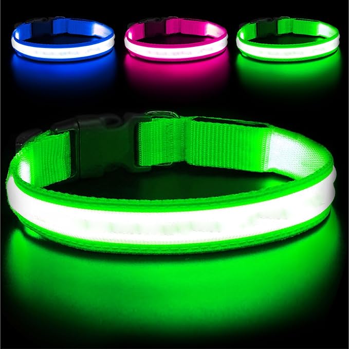 Light Up Dog Collar – Reflective, Adjustable, Rechargeable Electronic Glow Pet Collars – Bright, Comfortable, High Visibility LED Dog Collar for Night Safety, Outdoor Walk, Flashing Fun, Green, Small