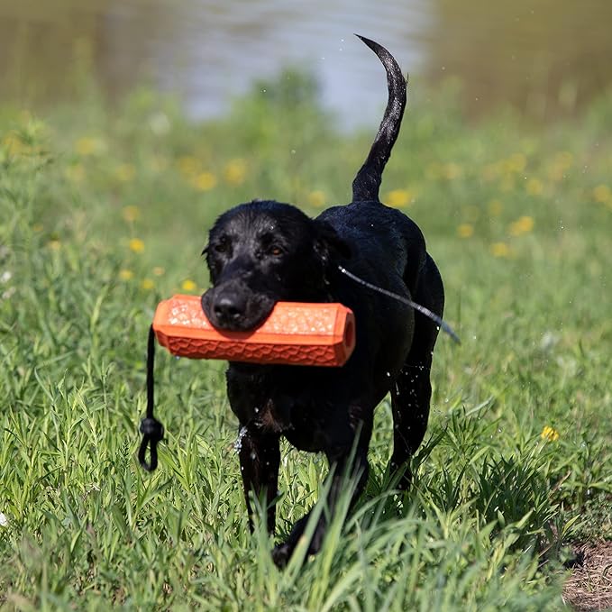 Momarsh Floating Dog Training Bumper | Durable Dummy with Easy Launch Rope | Advanced Waterfowl Hunting Retriever Dog Tool | Enhance Agility and Obedience