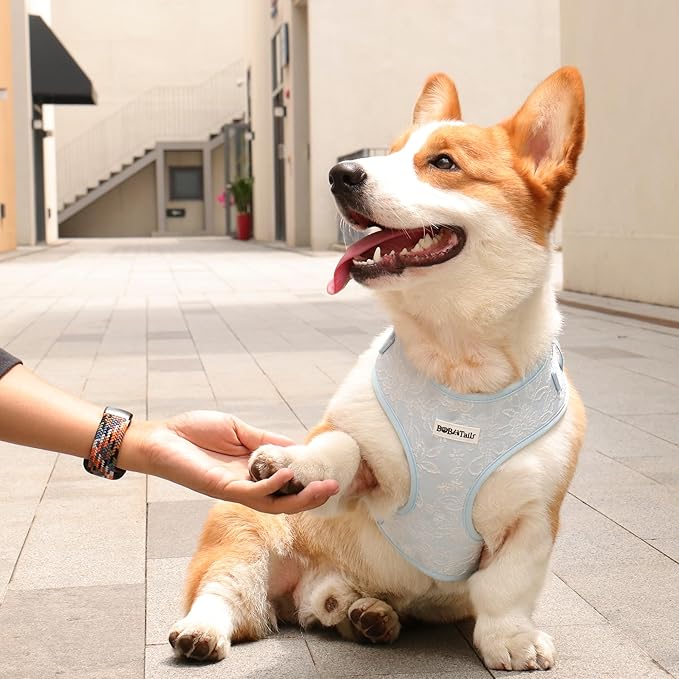 No Pull Dog Vest Harness for Small&Medium Dogs, Side Clip Adjustable Pet Vest, Soft Breathable, Fashion Dog Harnesses for Walking, Running, Shopping (Light Blue, S)