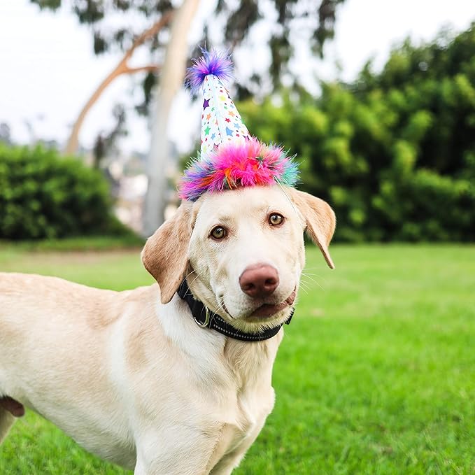 Huxley & Kent Pet Party Hat for Dogs & Cats - Fun Birthday Hat with SnugFit Adjustable Straps - Comfy Pet Costume Accessory for Parties, Gotcha Days & Celebrations - Superstar, Large
