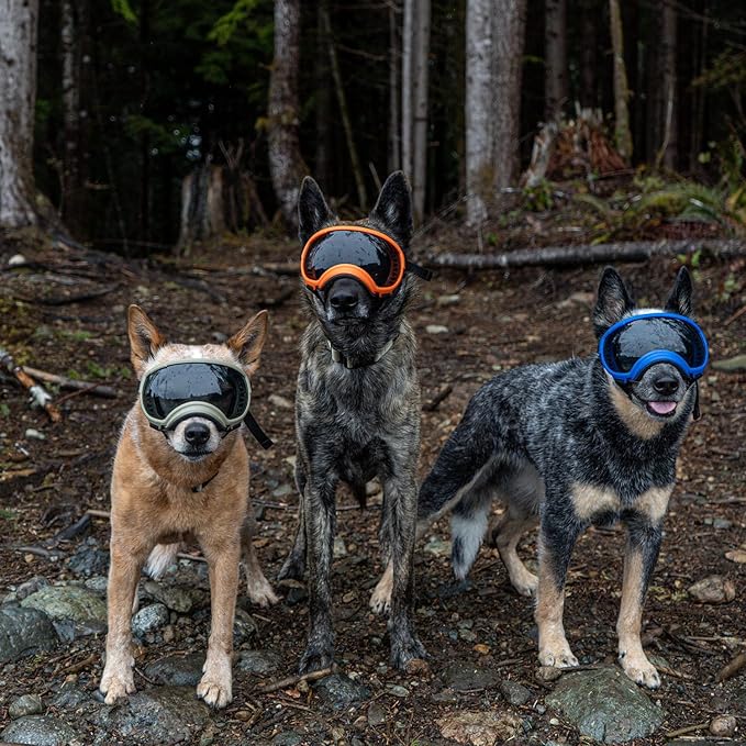 Rex Specs V2 Dog Goggles (Balkan Blue, Large)