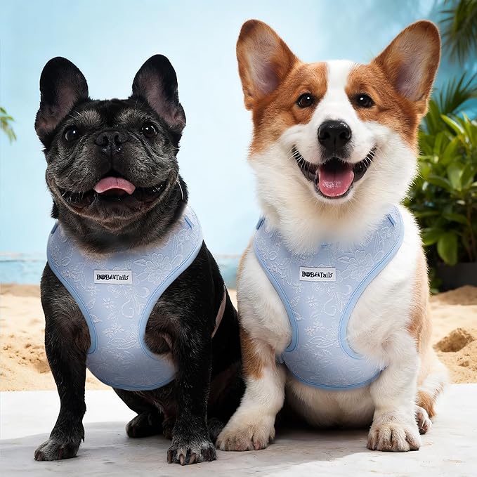 No Pull Dog Vest Harness for Small&Medium Dogs, Side Clip Adjustable Pet Vest, Soft Breathable, Fashion Dog Harnesses for Walking, Running, Shopping (Light Blue, S)