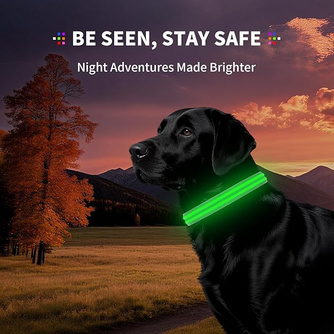 PetIsay Dog Light up Collar for Night Walking - High Visibility LED Dog Collar - Rechargeable - Waterproof - Reflective - Adjustable Lighted Glow Collars(Green, XLarge)
