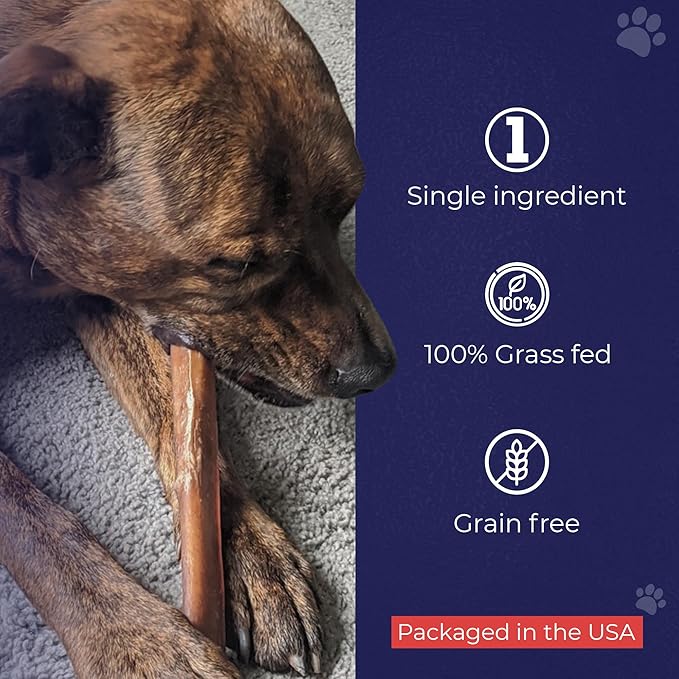 Devil Dog Pet Co. Jumbo Bully Sticks – 12 Inch, 3 Pack Dog Chews, 100% Natural, Single Ingredient, Free-Range Grass-Fed Beef – Long Lasting, Rawhide-Free Treats for Dogs