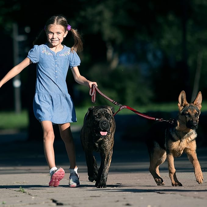 Kruz Double Dog Leash for Two Dogs (Width - 1”, Length 20”-42”) Dual Leash Coupler with Tangle-Free Swivel, Shock-Absorbing Reflective Bungee for Comfortable Walking & Training (Blue, Large)