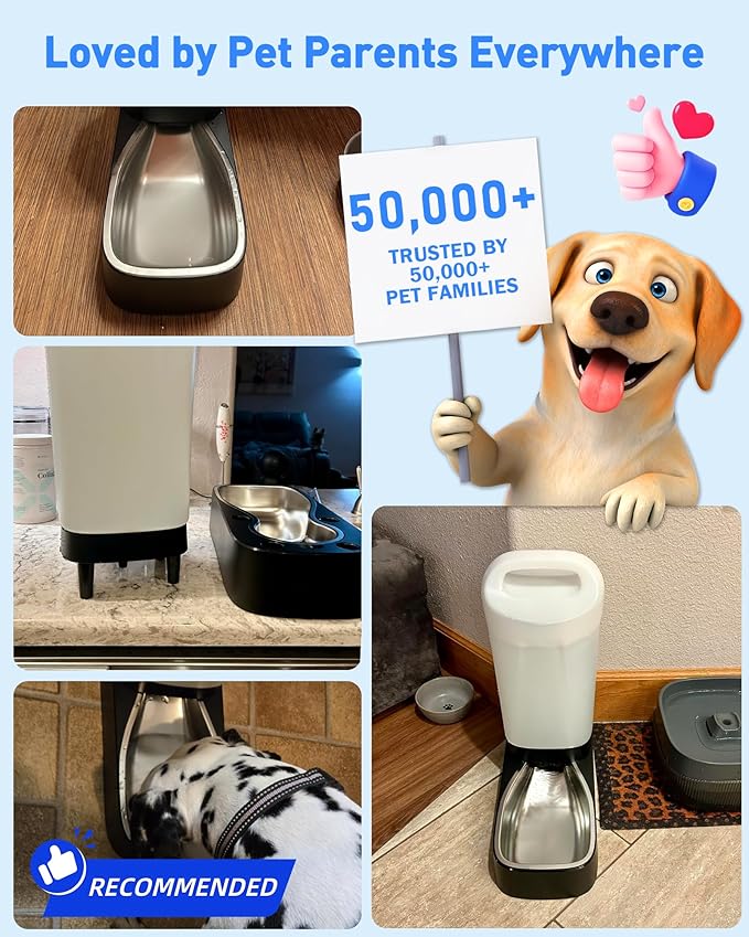 Automatic Dog Water Bowl Dispenser with 5 Filter - 2.4 Gal Large Gravity Auto Pet Water Feeder Waterer with Stainless Steel Bowl & Easy Carry Handle for Large Dog Cat Multi Pet Use