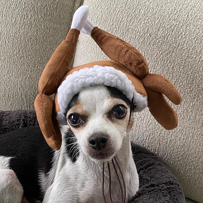 Huxley & Kent Pet Hat | Turkey Tester (Medium) | Fun Thanksgiving Holiday Hat for Dogs/Cats | Cute, Comfortable and Fun | SnugFit Strings for Best Fit