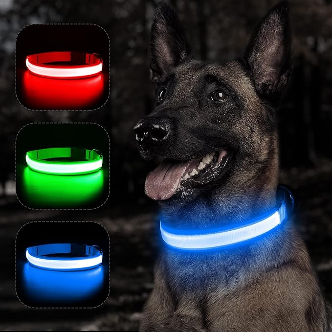 BSEEN Light Up Dog Collars - Reflective LED Dog Collar, Rechargeable Dog Glow Collar, Waterproof Glowing Dog Collar Lights for Night Walking (Royal Blue, Large)