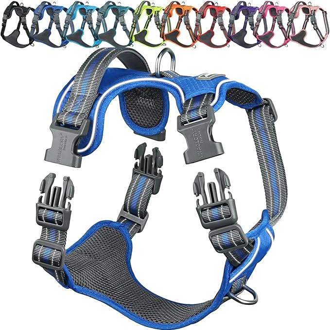 VIVAGLORY Dog Harness Easewalk No Pull Dog Harness with Handle Front Clip & Back Clip for Training Walking Lifting, No Pull Adjustable Easy On Padded Comfortable for Pet, XS, Royal Blue - Patterned