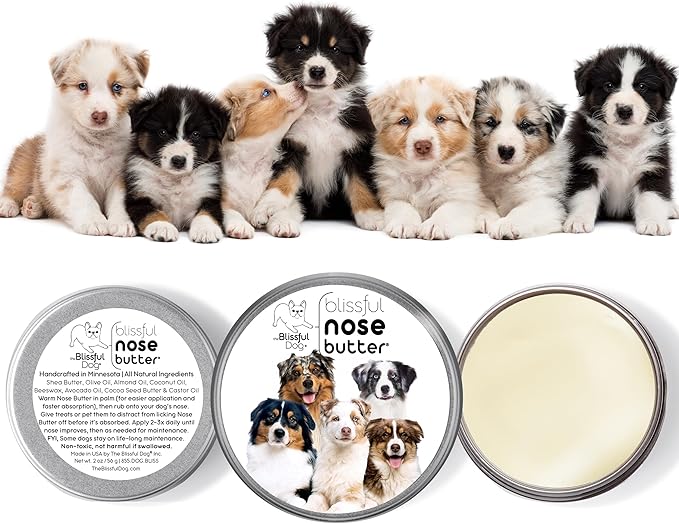 The Blissful Dog Australian Shepherd Nose Butter for Dry, Cracked Skin, Lick-Safe Dog Nose Balm with Moisturizing Shea Butter, Almond, Olive, and Essential Oils, Pet Supplies, Uncented, 4 oz.