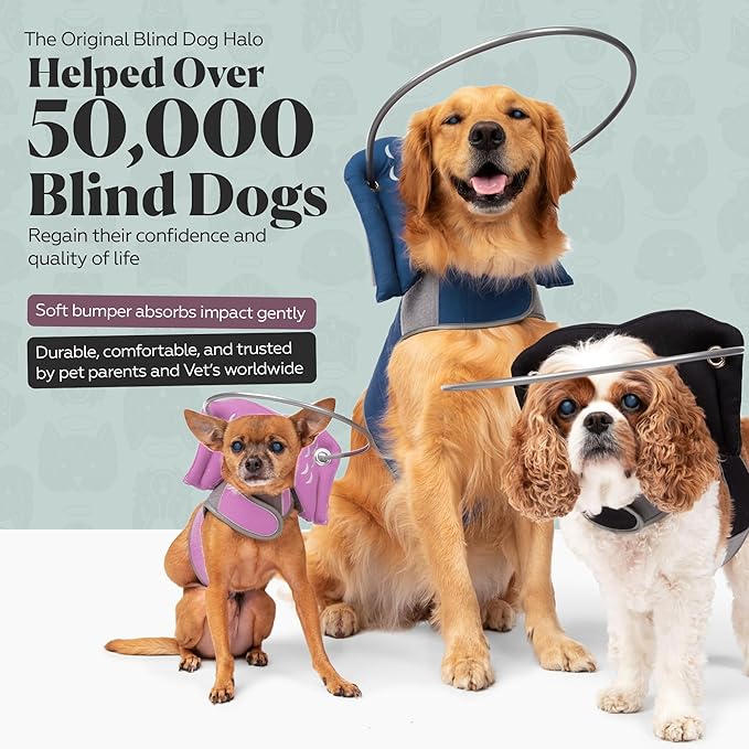 Muffin’s Halo® – The Original Blind Dog Halo | Harness & Bumper Collar Accessory for Safe Navigation & Confidence – Black, Size 3