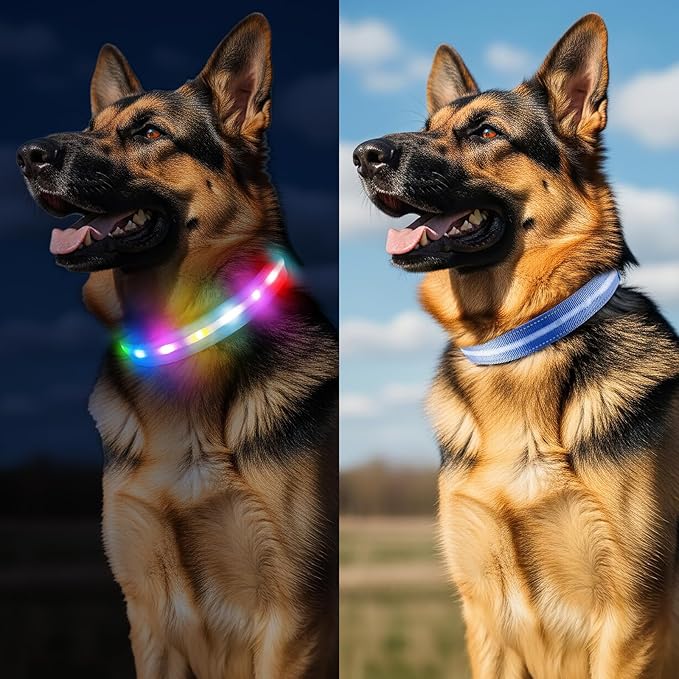 Light Up Dog Collar, USB Rechargeable 6 Modes, Waterproof Charging Port, Long Lasting LED Collar - Adjustable Nylon Reflective for Dogs, Sizes S/M/L (7/9/11 Lights) - 5 Colors (Blue, L)