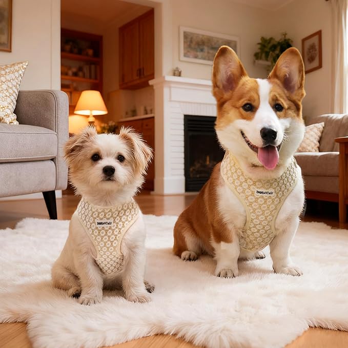 No Pull Dog Vest Harness for Small&Medium Dogs, Side Clip Adjustable Pet Vest, Soft Breathable, Fashion Dog Harnesses for Walking, Running, Shopping (Gold, XXS)