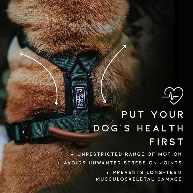 MADE TO ROAM Premium Explorer Harness - Y-Shaped Dog Harness with Adjustable Durable Nylon, Soft Padding, Metal Buckles and Leather Handle for Small, Medium, Large Dogs (Montana Moonrise, Size 1)