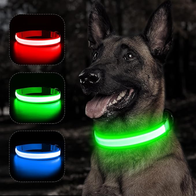 BSEEN Reflective LED Dog Collar - Light Up Dog Collars for Safe Walking at Night - Super Bright Lighted Puppy Collar - Rechargeable for Dogs (Neon Green, X-Large)
