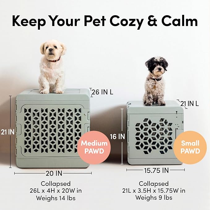 KindTail PAWD Collapsible Puppy and Dog Crate + Washable Bed - Stylish Pet Kennel with Comfortable Pad - Safe Indoor Set - Lightweight, Compact & Portable for Travel - Small White