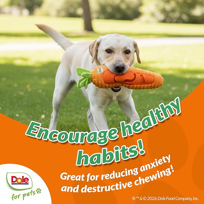 Dole for Pets® Dog Puzzle Toy with Squeaker, Carrot Snuffle Dog Treat Toy for Small and Medium Dogs, Dog Enrichment Toys