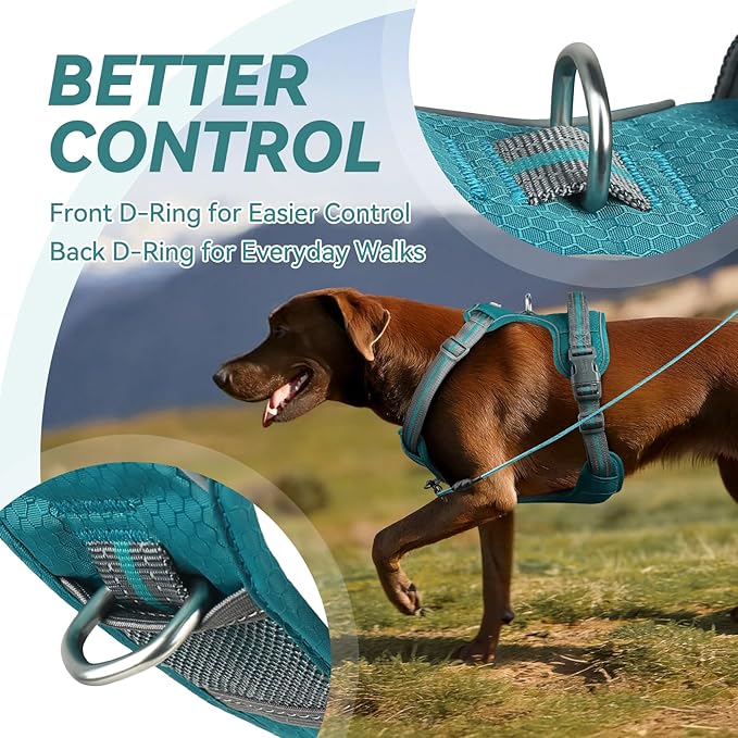 VIVAGLORY Dog Harness Easewalk No Pull Dog Harness with Handle Front Clip & Back Clip for Training Walking Lifting, No Pull Adjustable Easy On Padded Comfortable for Pet, XS, Hunter Teal - Patterned