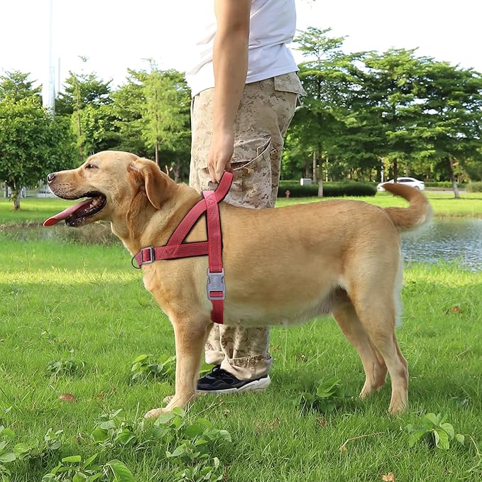 No Pull Dog Harness, Reflective Puppy Harness with Soft Padded Handle, Escape Proof/Quick Fit Adjustable Pet Harness for Small Medium Large Dogs, Easy for Training Walking (Red, XL)