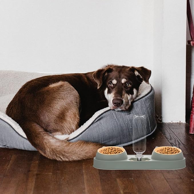 Cat and Dog Feeder Automatic Feeder and Drinker Double Bowl Pet Food Dispenser Easy to Use Safe for Pets Random Style