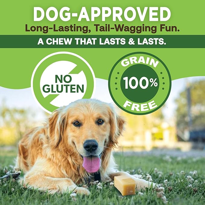 EcoKind Pet Treats Gold Himalayan Yak Cheese Medium Dog Chew | Great Treats for Dogs, Indoors & Outdoor Use - 3 Medium Chews