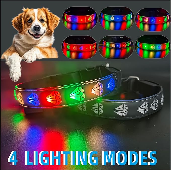 Customlized USB-C led Light up Night Walking Dog Collar with Waterproof airtag Holder, 4 Modes Running Flashing Light (Black, S(7.87-11.8"))