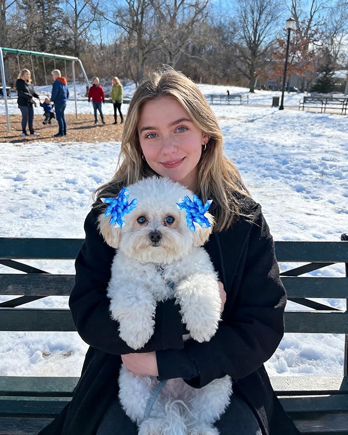 PET SHOW 20 Pack/10 Pairs Winter Curly Dog Hair Bows with Rubber Bands for Small Medium Dogs Spiral Puppy Swirl Topknot Cat Festival Snowflake Hair Accessories Pet Favor Gift (Winter Styles)