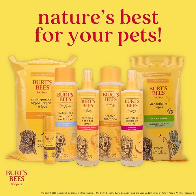Burt's Bees for Pets Waterless Shampoo Spray for Dogs with Apple and Honey, 99.1% Natural Origin Formulas, Gentle Waterless Dry Dog Shampoo, 10 Fl Oz - 6 Pack