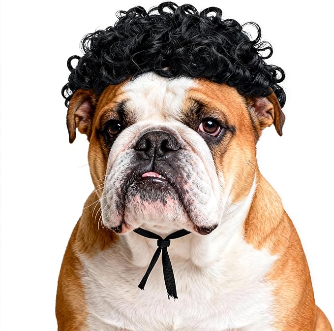 Funny Black Curly Dog Wig with Adjustable Strap - Pet Costume Accessory for Dog & Cat, Halloween, Christmas, Parties, Cosplay & Festivals - Fits Small Medium Large Dogs