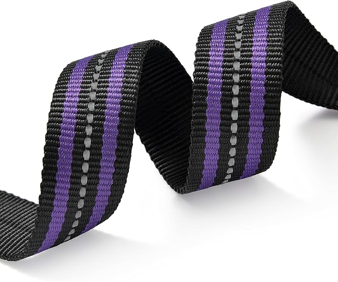 Mile High Life Reflective Dog Collar | Nylon Pet Collars wiith Buckle | Light Weight Puppy Collars | Purple Dog Collars for Large Dogs (Purple, L)