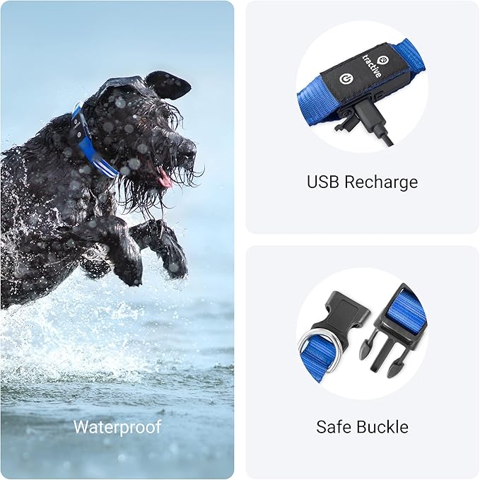 Tractive LED Light Up Dog Collar USB Rechargeable Waterproof (Blue)