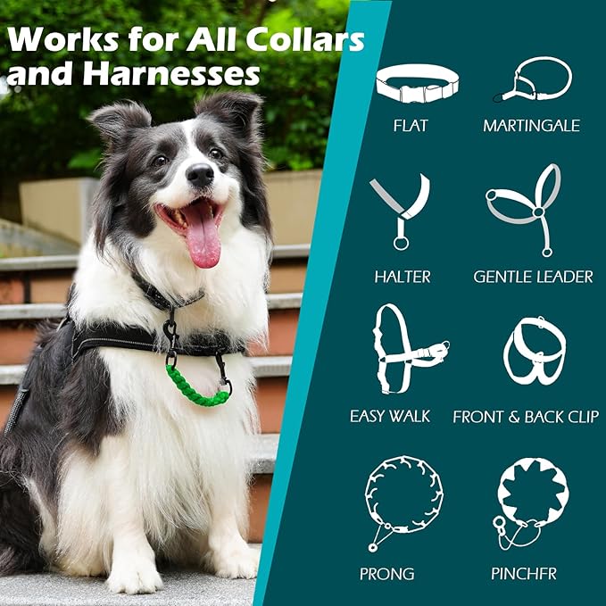 PetBonus Dog Collar Safety Clip, Handmade Backup Safety Strap for Dog Harness, Prong, Pinch Collar, Double Ended Clasp Leash Connector (Green)